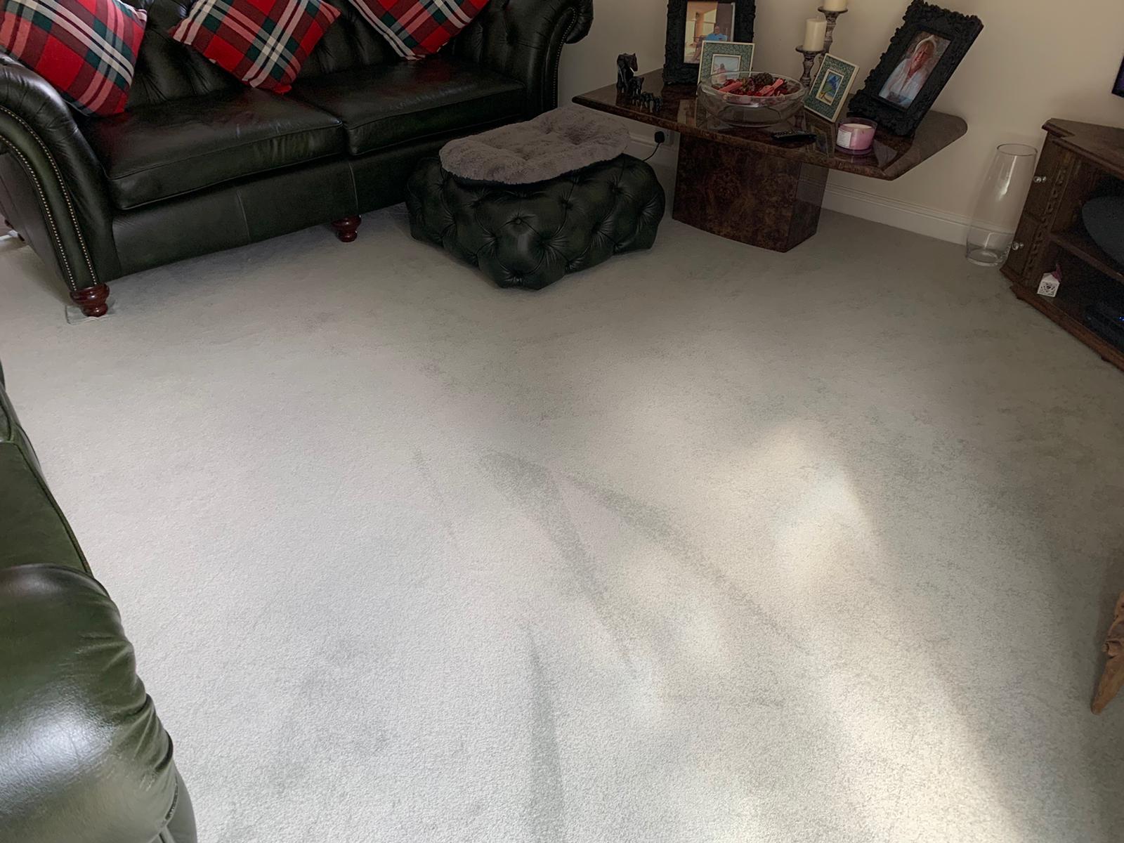 Expert carpet laying