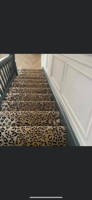 Professional runner project