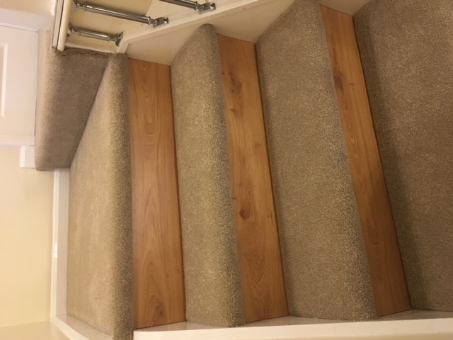 Professional runner project